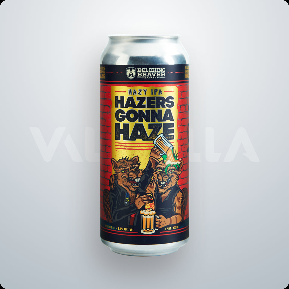 Hazers Gonna Haze - Valhalla Distributing