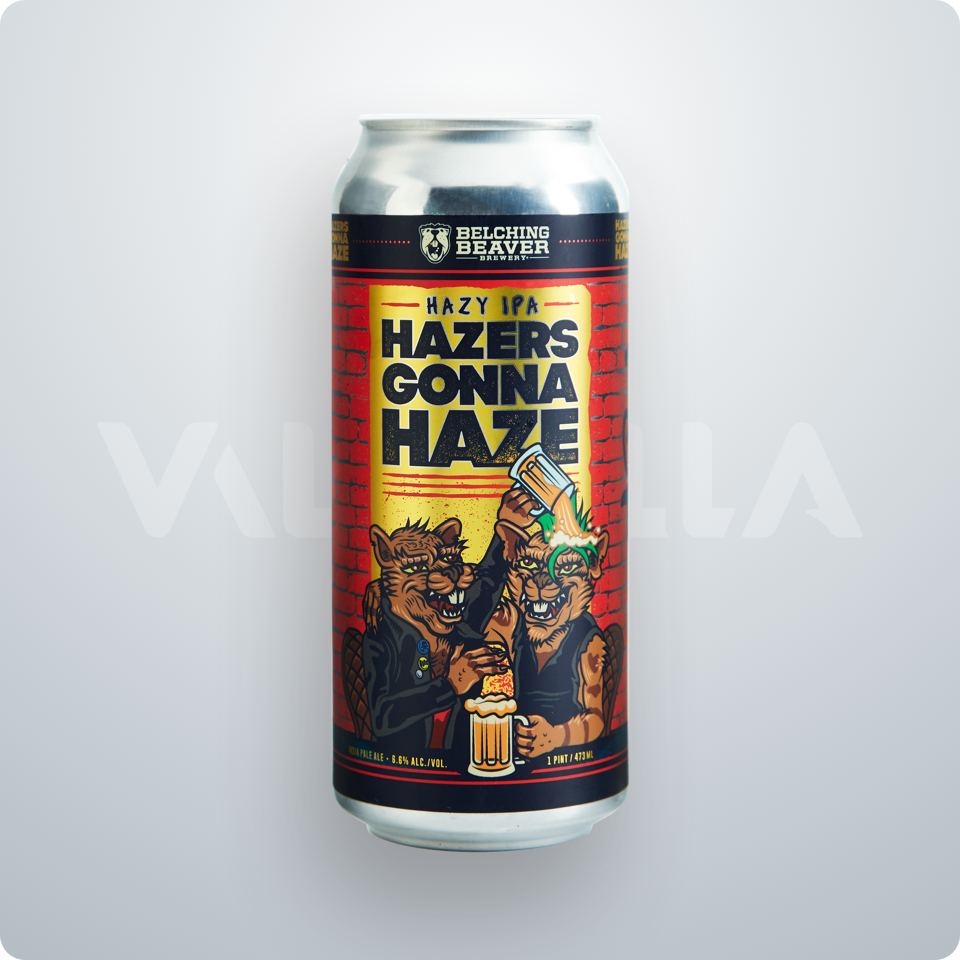 Hazers Gonna Haze - Valhalla Distributing